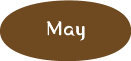 5月